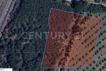 Lote de Terreno en  Tecomán, Colima
