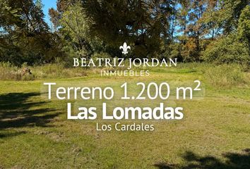 Terrenos en  Los Cardales, Partido De Campana