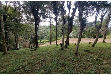 Lotes y Terrenos en  Alto El Maria, Chame