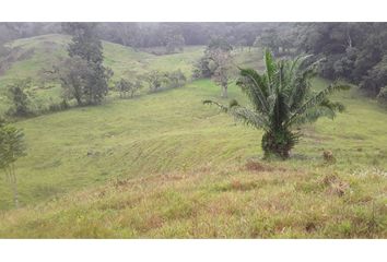 Finca/Hacienda en  Vía La Pintada, La Pintada, Cocle, Pan
