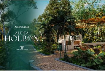 Lote de Terreno en  77330, Solferino, Quintana Roo, Mex