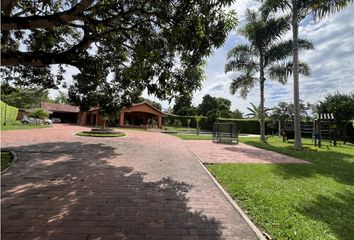 House for rent in Cerritos, Pereira