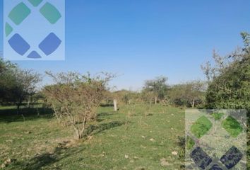 Terrenos en  San José De Feliciano, Entre Ríos