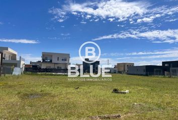 Terrenos en  Carlos Spegazzini, Partido De Ezeiza