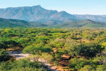 Lote de Terreno en  Carretera Montemorelos - Rayones, El Naranjo, El Pastor, Montemorelos, Nuevo León, México