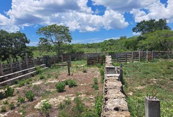 Rancho en  Calle 20, Centro, Buctzotz, Yucatán, 97620, Mex