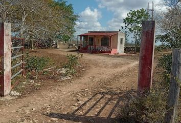 Rancho en  Calle 30 B, Buctzotz, Yucatán, 97620, Mex