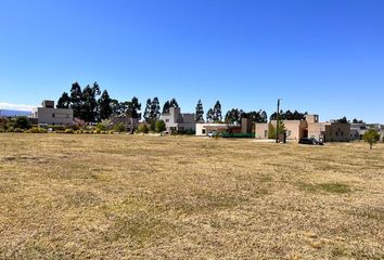 Terrenos en  Los Nogales, Tucumán