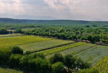 Lote de Terreno en  El Bajío, Montemorelos, Nuevo León, 67500, México