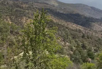 Quinta en  Los Lirios, Arteaga, Coahuila, 25360, México