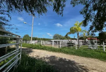 Rancho en  El Salitre, Linares, Nuevo León, México