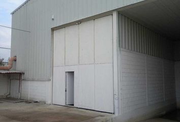 Nave en  Ciudad Industrial, Celaya