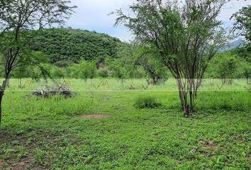 Lote de Terreno en  Los Mimbres, Galeana, Nuevo León, México