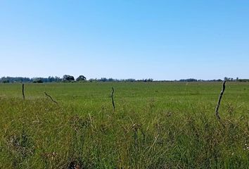 Terrenos en  Bella Vista, Corrientes