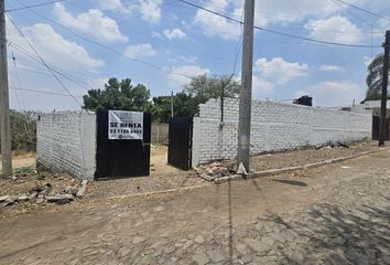 Lote de Terreno en  Calle Guadalupe Montenegro, Las Pintas, Las Pintitas, El Salto, Región Centro, Jalisco, 45690, México