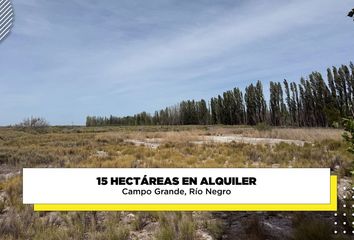 Terrenos en  Campo Grande, Río Negro