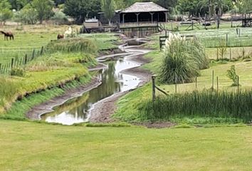 Quinta/Finca en  Lobos, Partido De Lobos