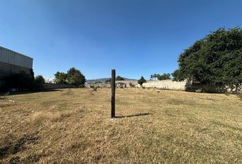 Lote de Terreno en  Calle San Miguel, La Palmira, Zapopan, Región Centro, Jalisco, 45035, México