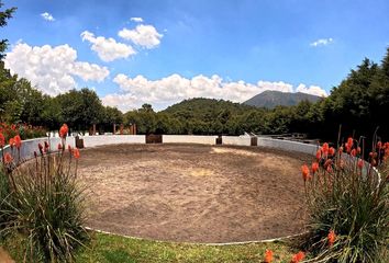 Rancho en  Carretera Picacho-ajusco, Colonia El Zacatón, La Campana, Tlalpan, Ciudad De México, 14760, México