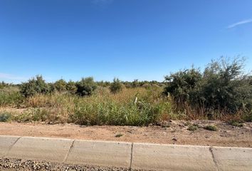 Lote de Terreno en  Carretera Mexicali-algodones, Ejido Nuevo León, Municipio De Mexicali, Baja California, 21721, México