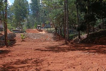 Finca/Hacienda en  Chilibre, Panamá, Pan