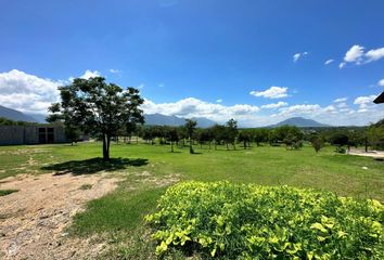 Lote de Terreno en  Montemorelos Centro, Montemorelos