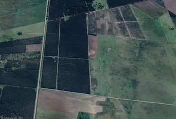 Terrenos en  Los Charrúas, Entre Ríos