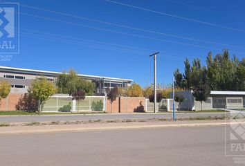 Galpónes/Bodegas en  Confluencia, Neuquen