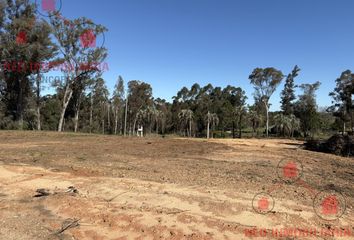 Terrenos en  La Criolla, Entre Ríos