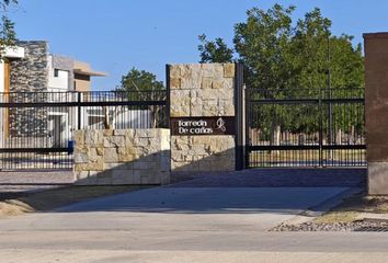 Lote de Terreno en  Las Trojes, Torreón