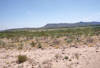 Lote de Terreno en  General Cepeda, Coahuila