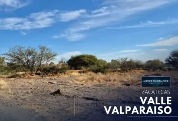 Lote de Terreno en  Calle Valparaíso, Guadalupe, Zacatecas, 98613, México