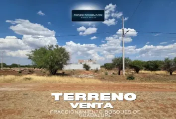 Lote de Terreno en  Avenida De Las Aves, Guadalupe, Zacatecas, 98615, México