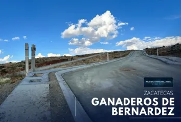 Lote de Terreno en  Privada Cerro De La Virgen, Guadalupe, Zacatecas, 98613, México