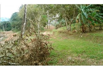 Lotes y Terrenos en  Salida De Retorno Transistmica, Las Cumbres, Panamá, Pan