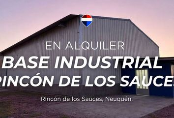 Galpónes/Bodegas en  Rincón De Los Sauces, Neuquen