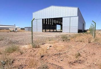 Galpónes/Bodegas en  Añelo, Neuquen