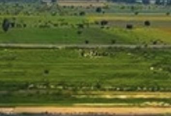 Lote de Terreno en  El Pueblito, Corregidora, Corregidora, Querétaro