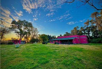 Quinta/Finca en  Calle 247 2735-3537, Luján, Barrio Las Casuarinas, Luján, B6700, Provincia De Buenos Aires, Arg