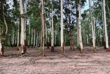 Terrenos en  Goya, Corrientes