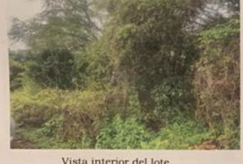 Lote de Terreno en  Calle Florencia, Allende, Nuevo León, 67350, México