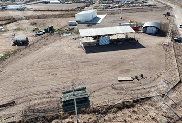 Galpónes/Bodegas en  Añelo, Neuquen