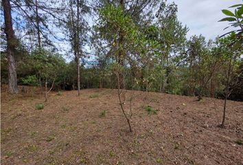 Lote de Terreno en  Conexión Vial Aburrá - Oriente, Santa Elena, Medellín, Rionegro, Valle De Aburrá, Antioquia, Rap Del Agua Y La Montaña, 050017, Colombia