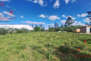 Terrenos en  Los Charrúas, Entre Ríos