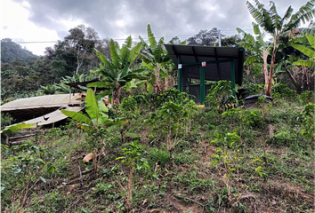 Villa-Quinta en  Urbanización Lindaraja 1 Etapa, Rufino J. Cuervo, Comuna Rufino J. Cuervo, Perímetro Urbano Armenia, Armenia, Capital, Quindío, Rap Eje Cafetero, 630008, Colombia