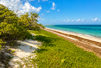 Lote de Terreno en  San Crisanto, Sinanché, Yucatán, México
