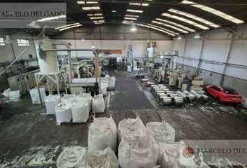 Galpónes/Bodegas en  Avellaneda, Partido De Avellaneda