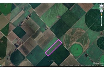 Quinta/Finca en  Calle Mar Del Plata 901-999, Floresta, Comuna 10, Buenos Aires, Ciudad Autónoma De Buenos Aires, C1407, Ciudad Autónoma De Buenos Aires, Arg
