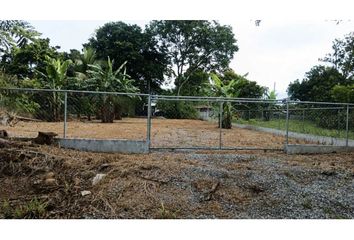 Lotes y Terrenos en  David