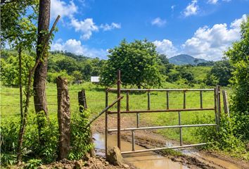 Finca/Hacienda en  Chepo, Panamá, Pan